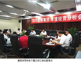 藍(lán)雁集團召開2017年季度經(jīng)營分析會